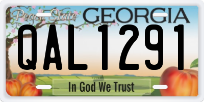 GA license plate QAL1291