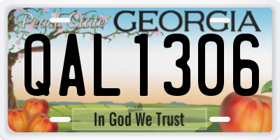 GA license plate QAL1306