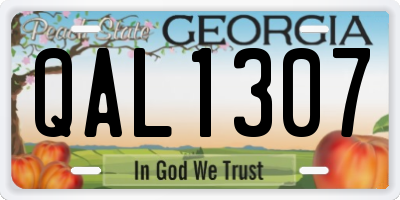 GA license plate QAL1307