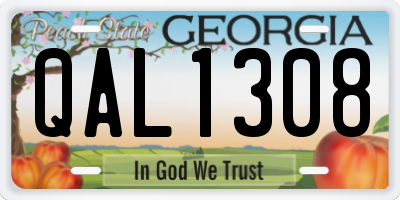 GA license plate QAL1308