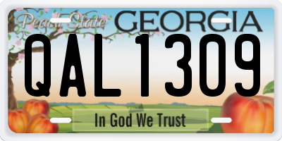 GA license plate QAL1309