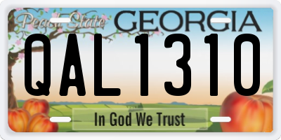 GA license plate QAL1310
