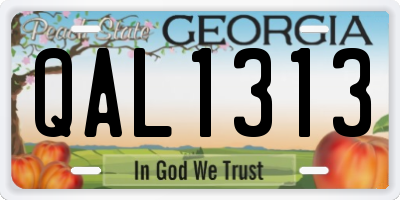 GA license plate QAL1313