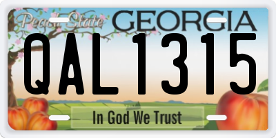 GA license plate QAL1315
