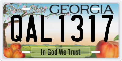 GA license plate QAL1317