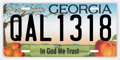 GA license plate QAL1318