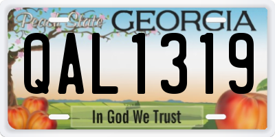 GA license plate QAL1319