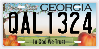 GA license plate QAL1324