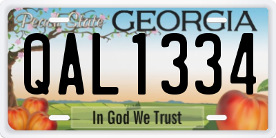 GA license plate QAL1334