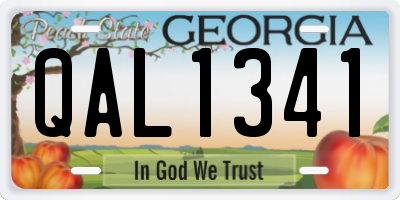 GA license plate QAL1341