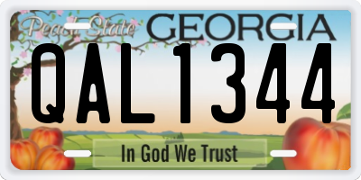 GA license plate QAL1344