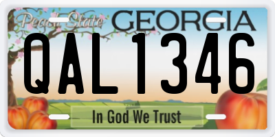 GA license plate QAL1346