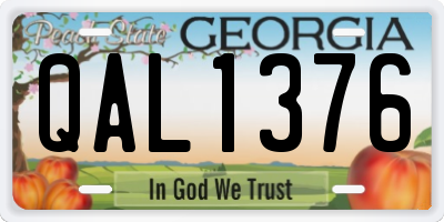 GA license plate QAL1376