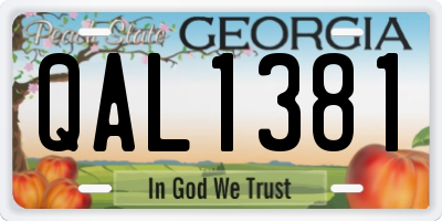 GA license plate QAL1381