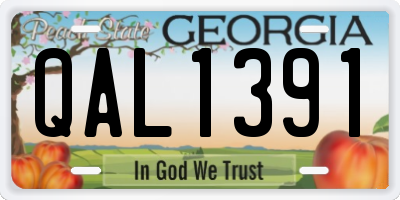 GA license plate QAL1391