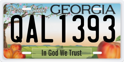 GA license plate QAL1393