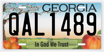 GA license plate QAL1489