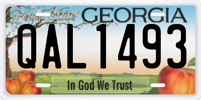 GA license plate QAL1493