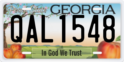 GA license plate QAL1548