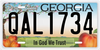 GA license plate QAL1734