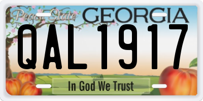 GA license plate QAL1917