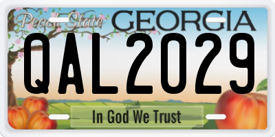 GA license plate QAL2029