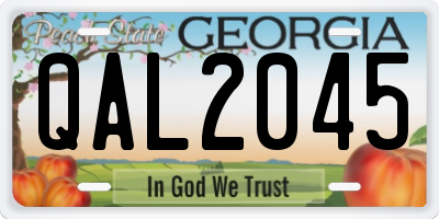 GA license plate QAL2045