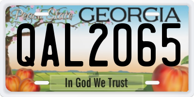 GA license plate QAL2065