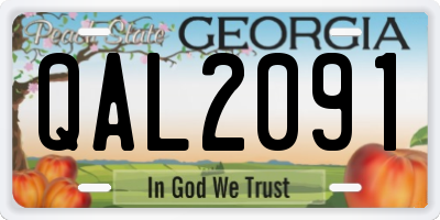 GA license plate QAL2091