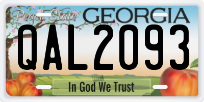 GA license plate QAL2093