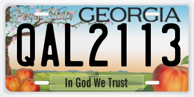 GA license plate QAL2113