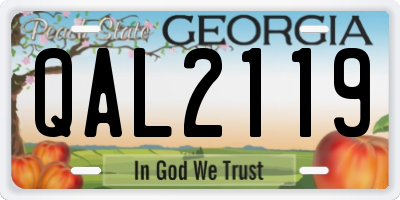 GA license plate QAL2119