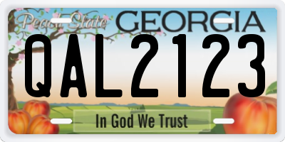 GA license plate QAL2123