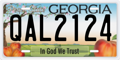 GA license plate QAL2124