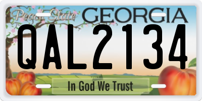 GA license plate QAL2134