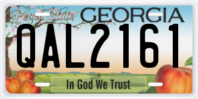 GA license plate QAL2161