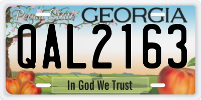 GA license plate QAL2163