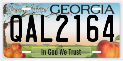 GA license plate QAL2164