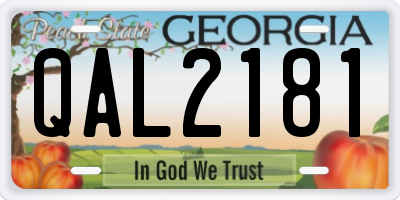 GA license plate QAL2181