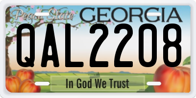 GA license plate QAL2208