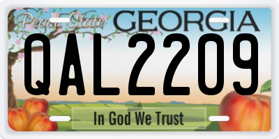 GA license plate QAL2209