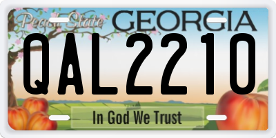 GA license plate QAL2210