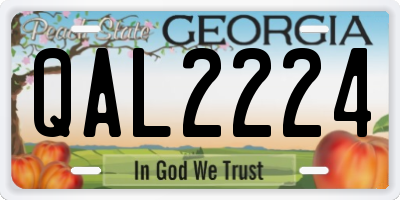 GA license plate QAL2224