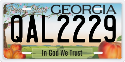 GA license plate QAL2229