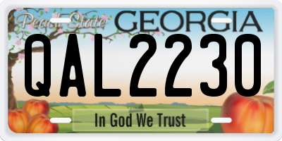 GA license plate QAL2230