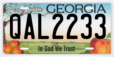 GA license plate QAL2233