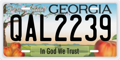 GA license plate QAL2239