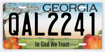 GA license plate QAL2241