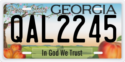 GA license plate QAL2245