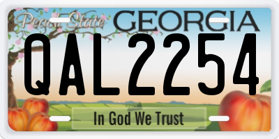 GA license plate QAL2254